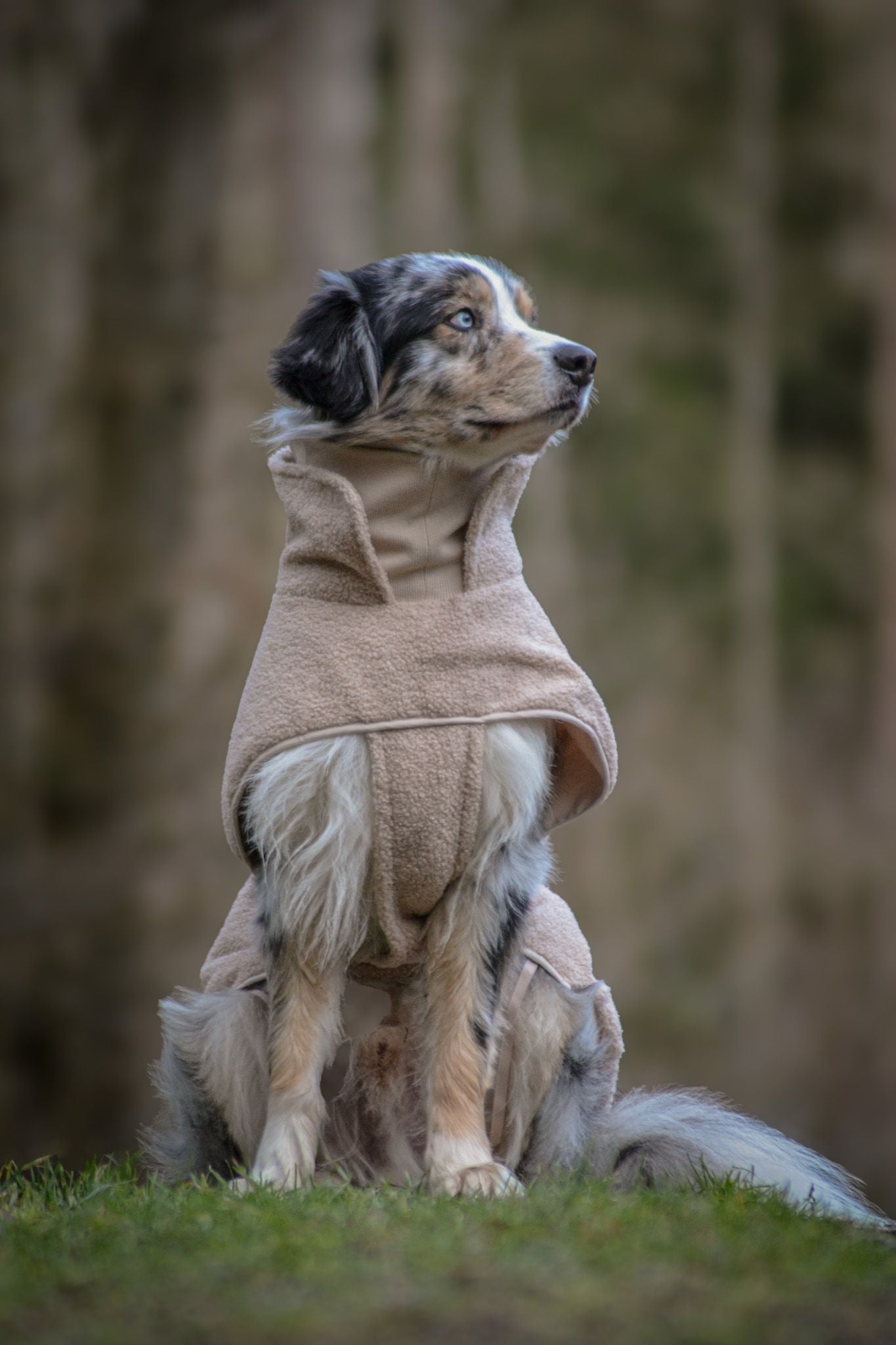 Wowpaw Hundepullover Beige