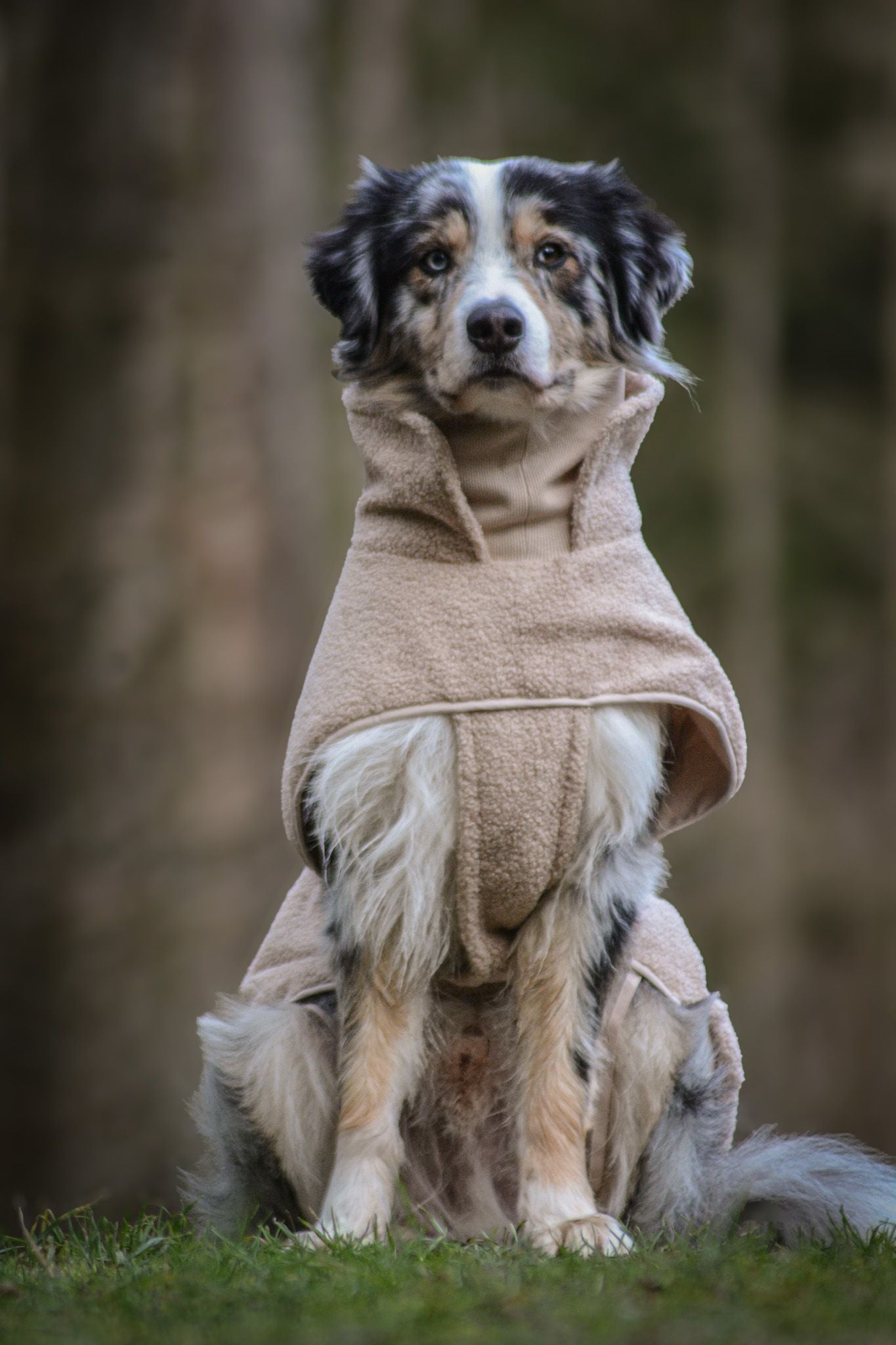 Wowpaw Hundepullover Beige
