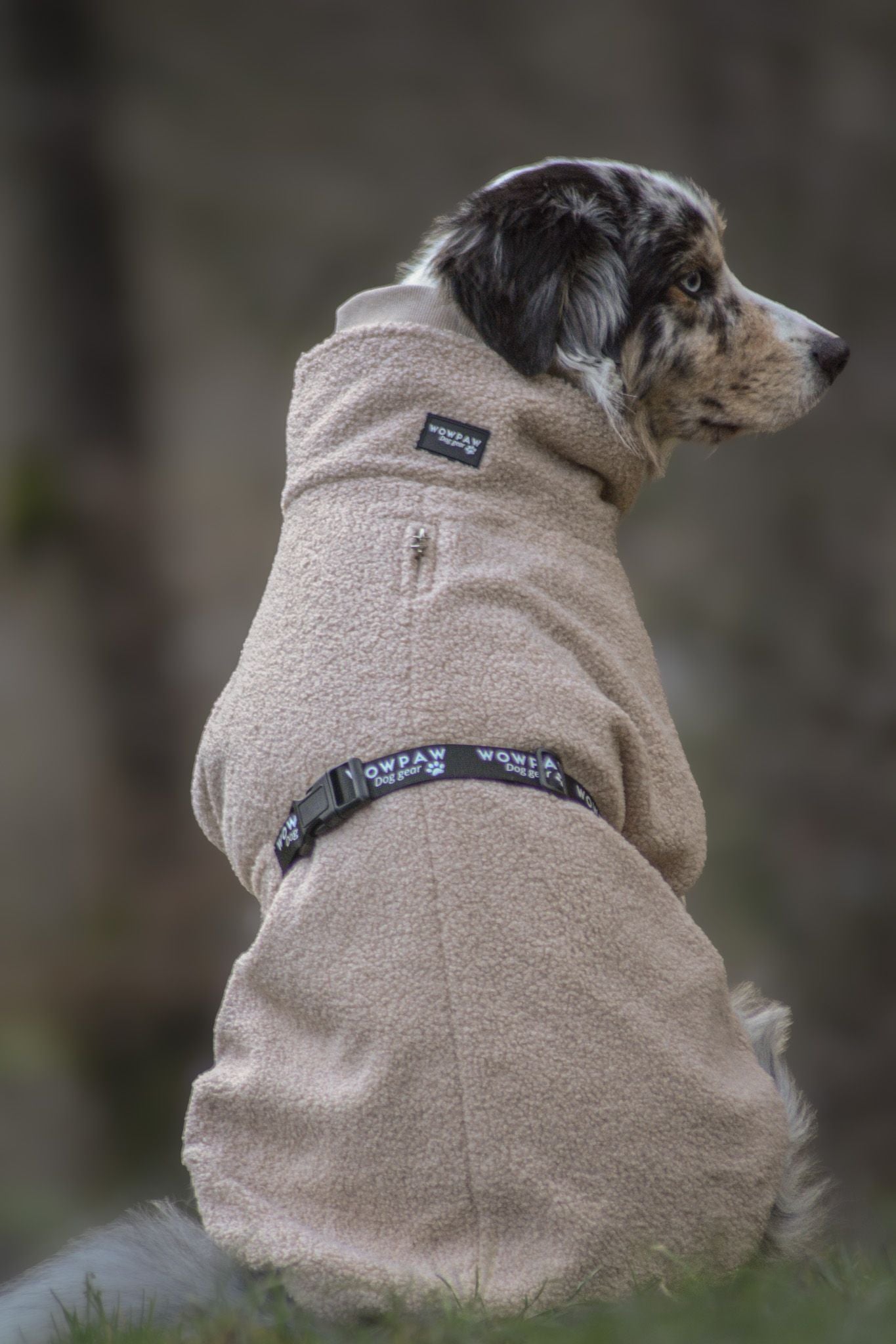 Wowpaw Hundepullover Beige