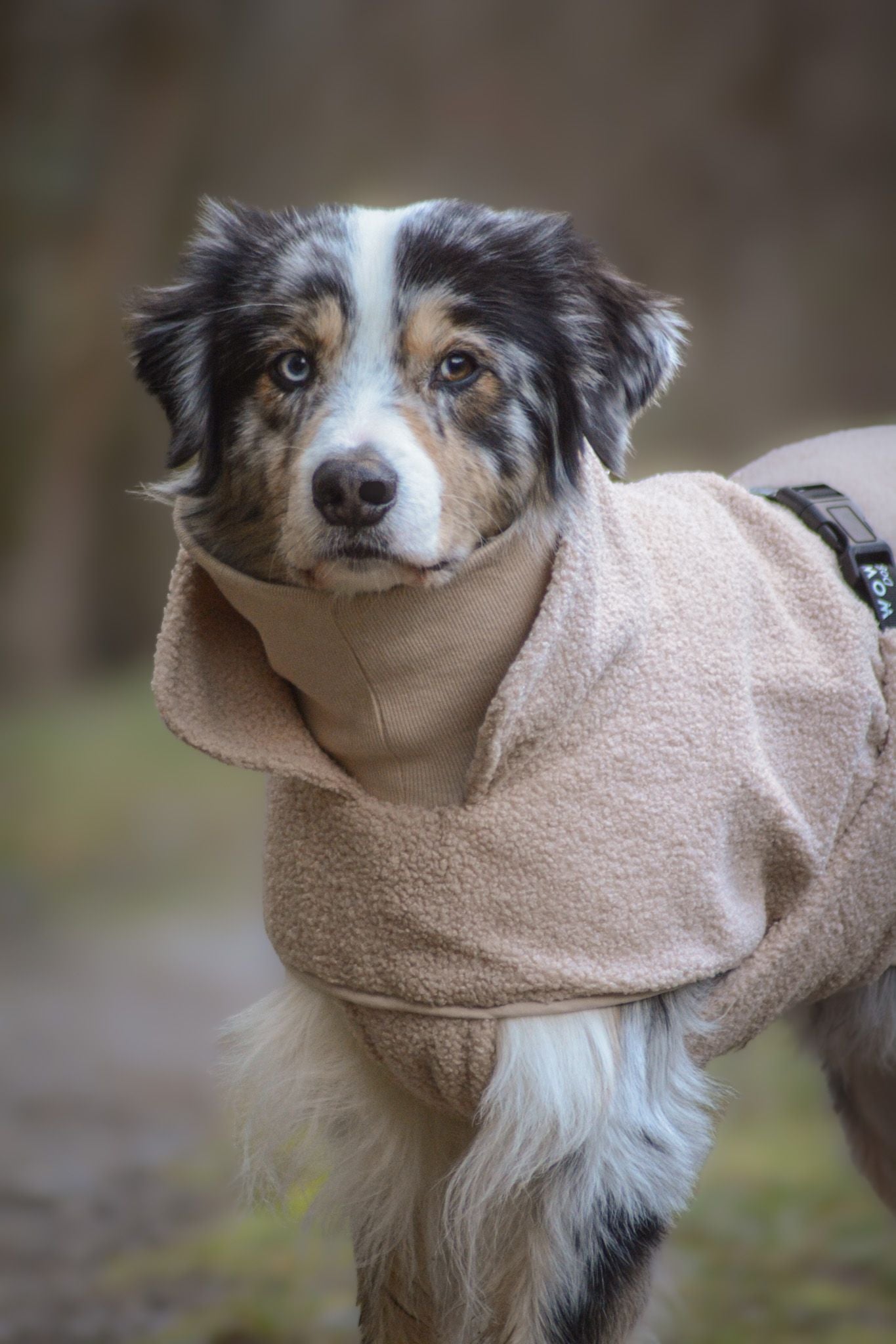 Wowpaw Hundepullover Beige