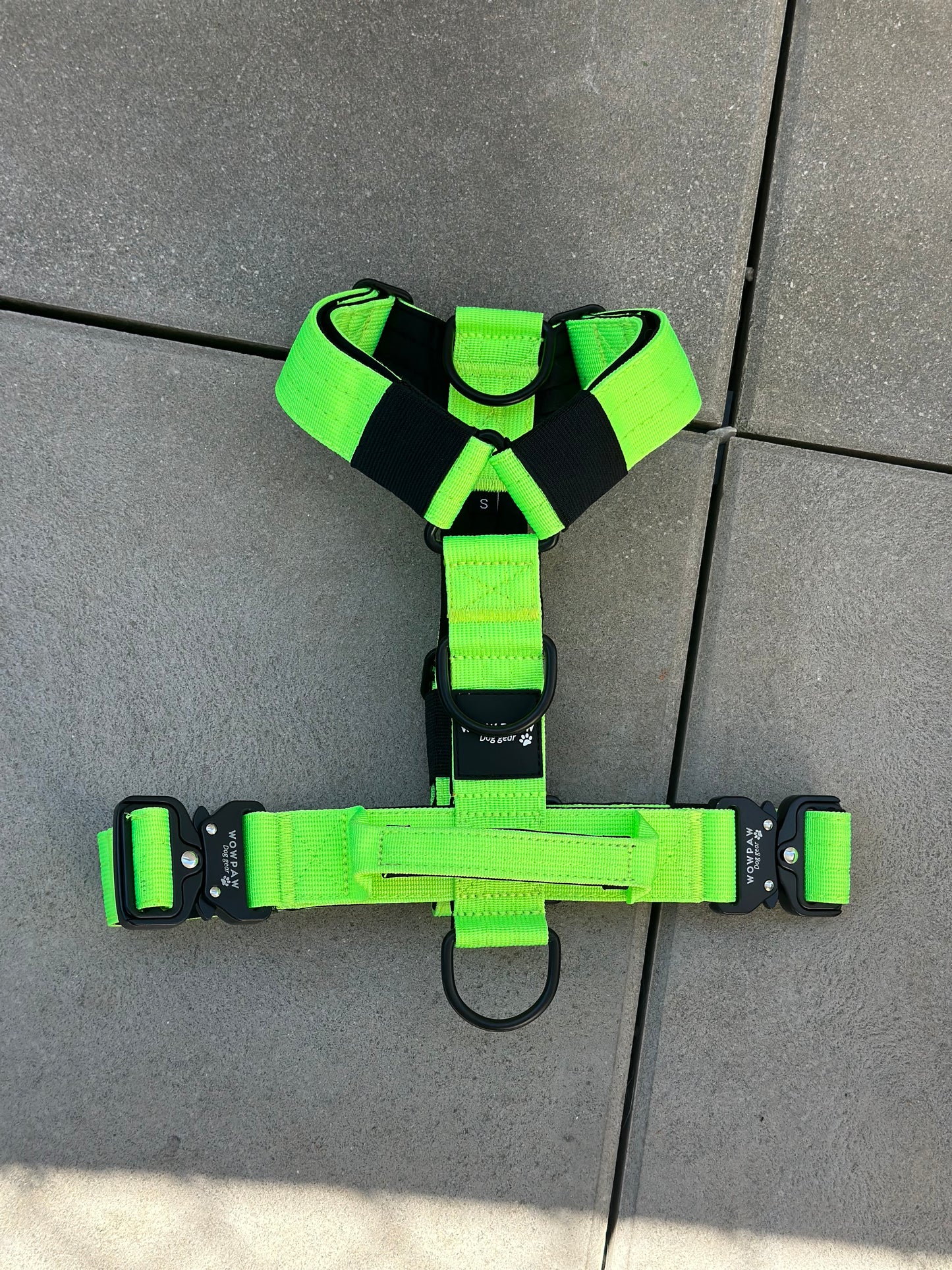 Pettorina per cani di alta qualità S verde neon