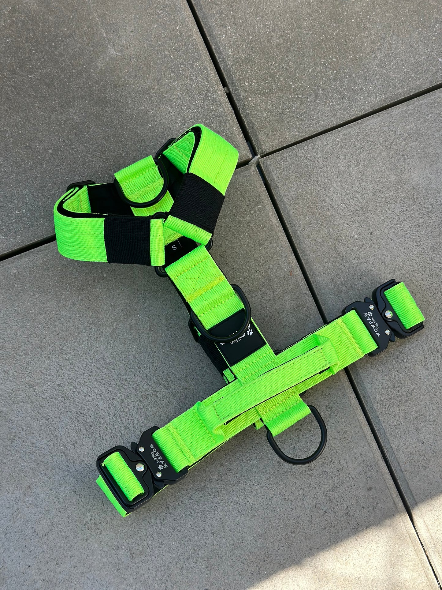 Pettorina per cani di alta qualità S verde neon