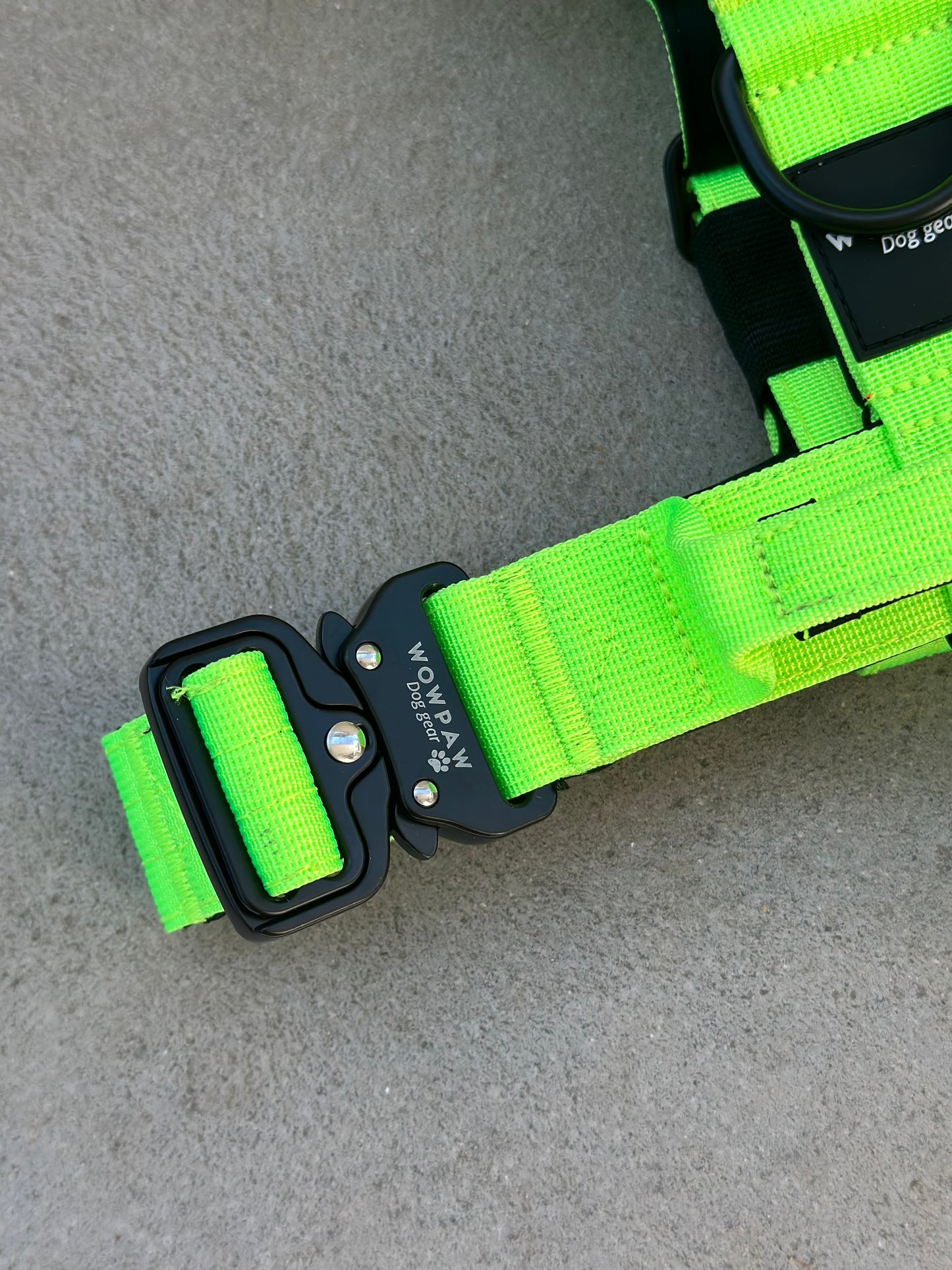 Pettorina per cani di alta qualità S verde neon