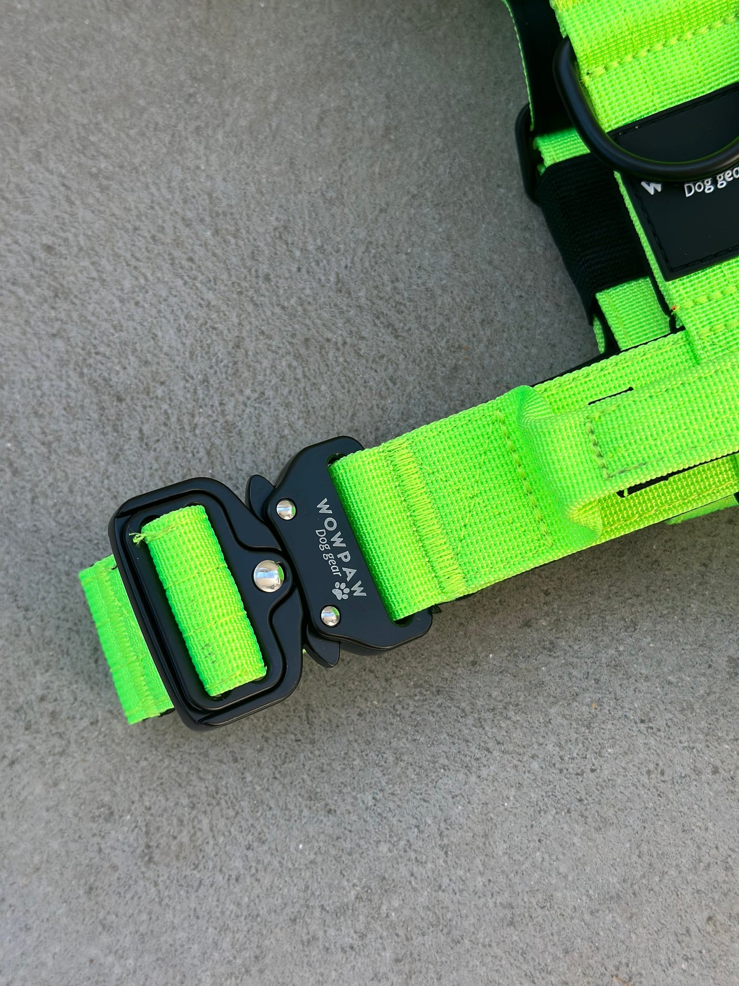 Pettorina per cani di alta qualità M verde neon