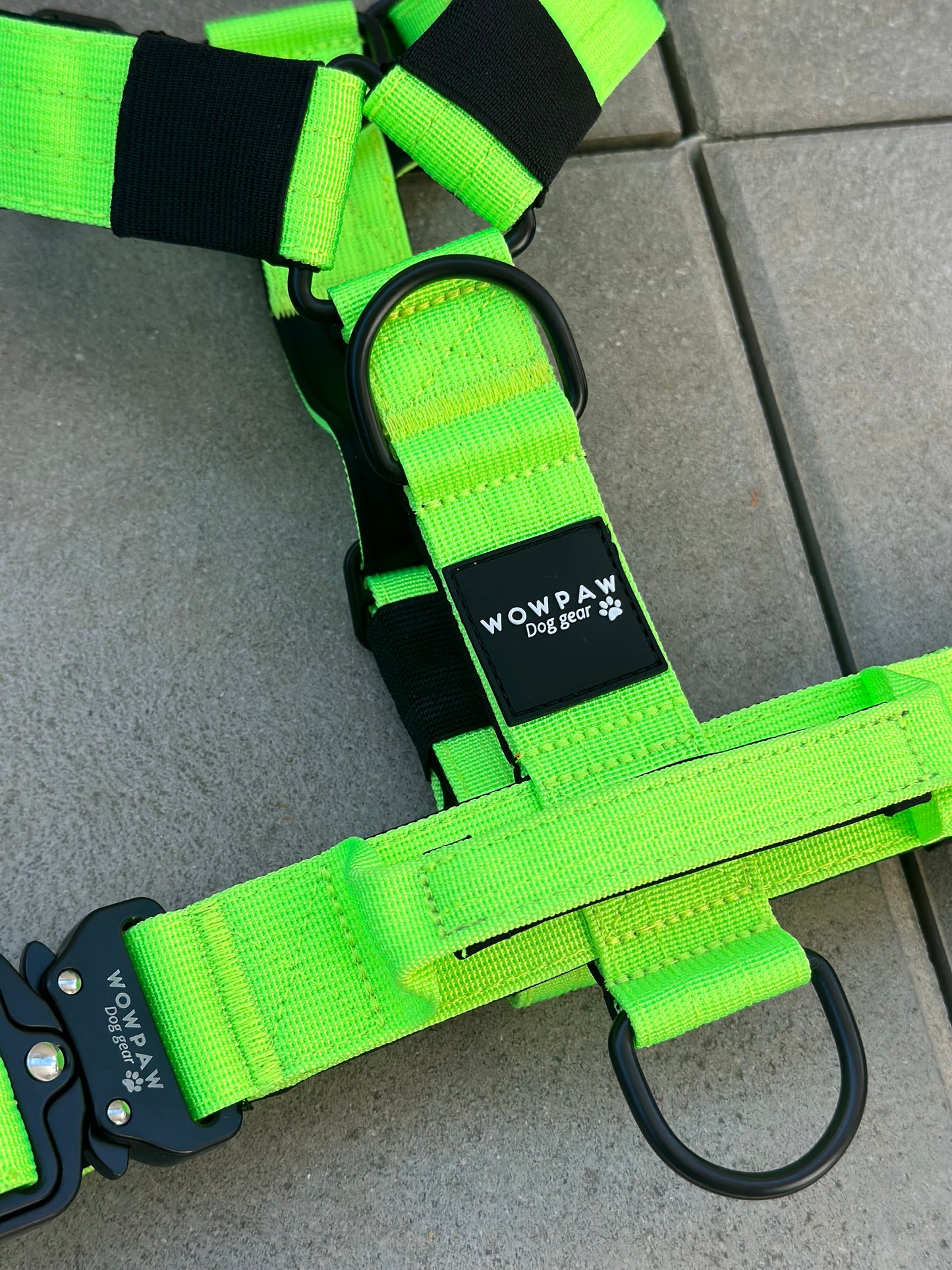 Pettorina per cani di alta qualità M verde neon