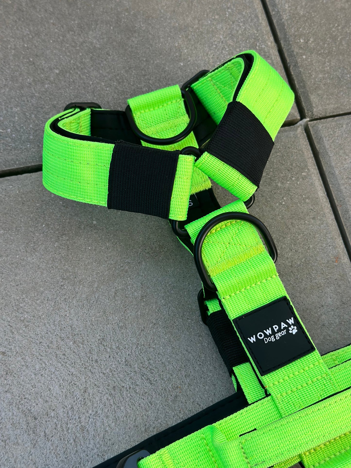 Pettorina per cani di alta qualità M verde neon