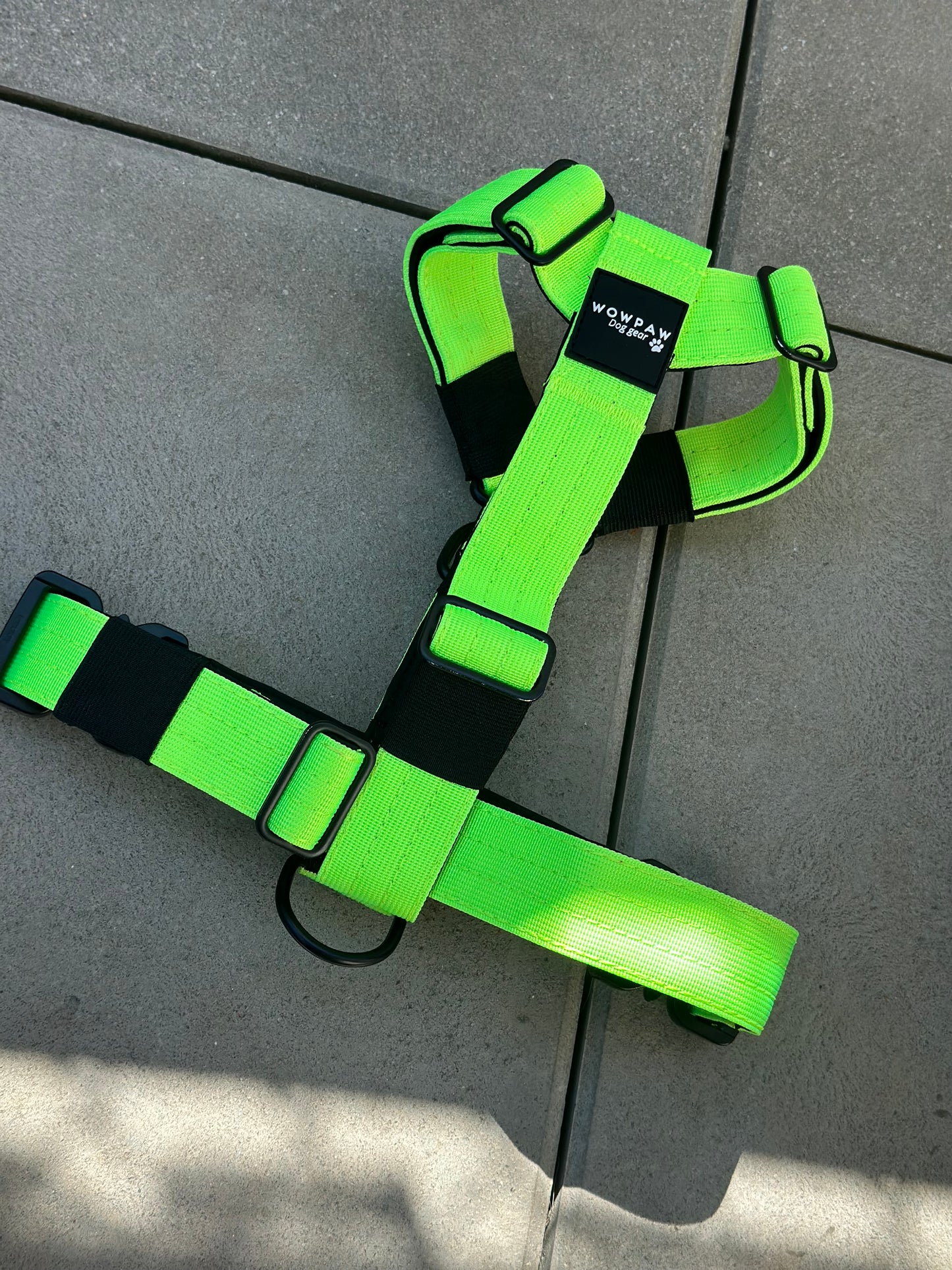 Pettorina per cani di alta qualità S verde neon