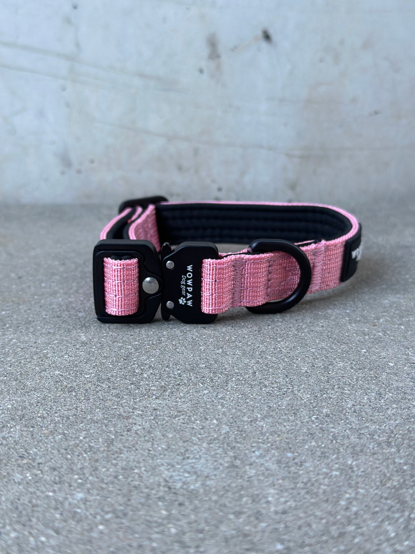 Collare per cani tattico di alta qualità 2,5 cm arancione neon taglia XS