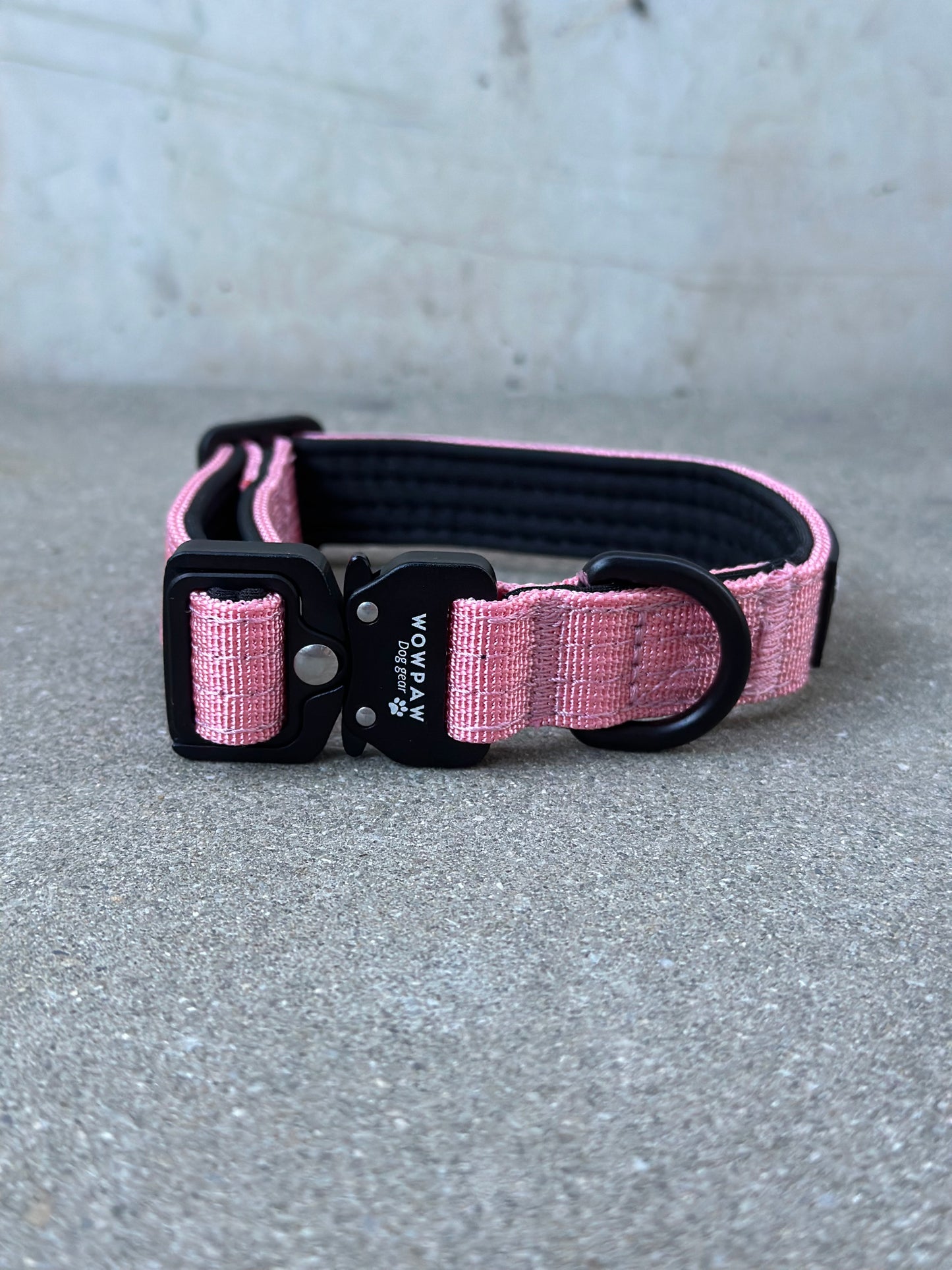 Collare per cani tattico di alta qualità 2,5 cm arancione neon taglia XS