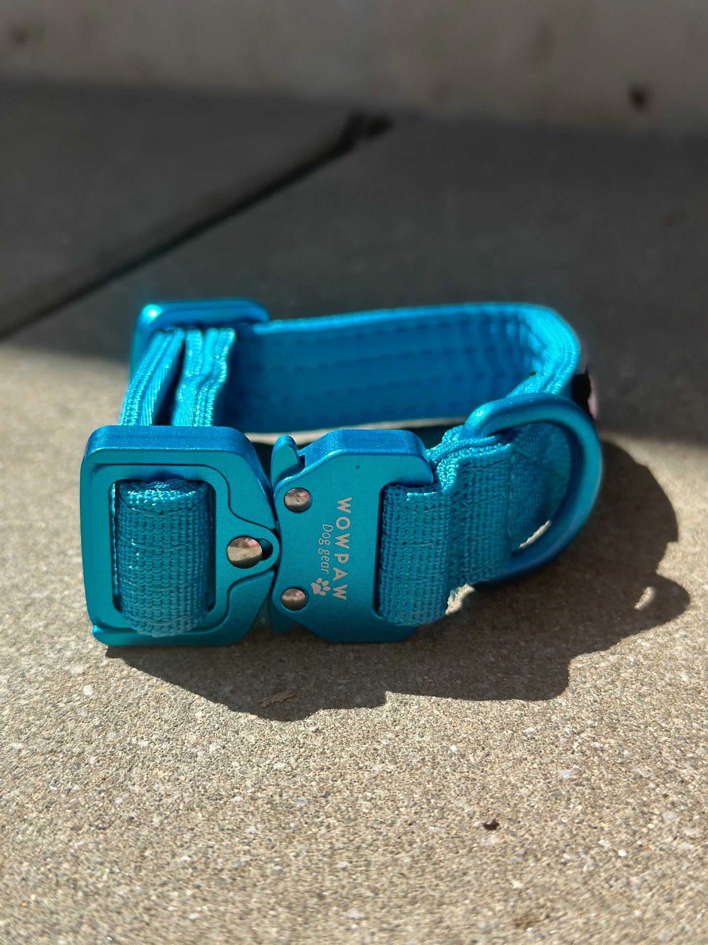 Collare per cani tattico di alta qualità 2,5 cm arancione neon taglia XS