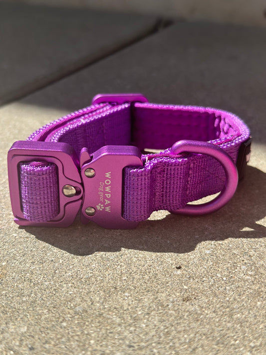 Collare per cani tattico di alta qualità 2,5 cm arancione neon taglia XS