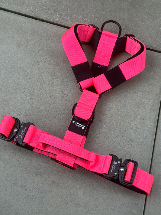 Hochwertiges Hundegeschirr M Neonpink