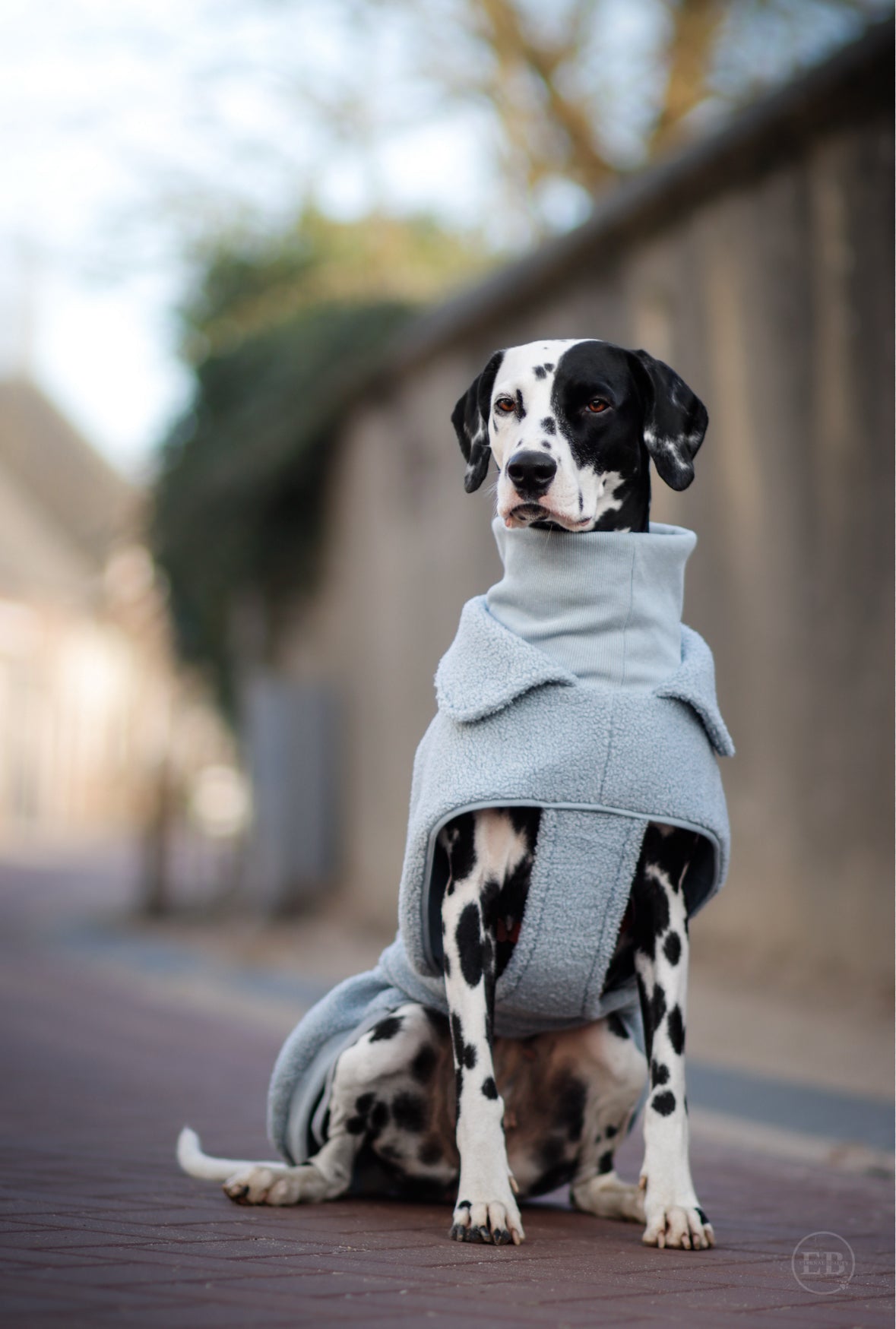Wowpaw Hundepullover Pastellblau
