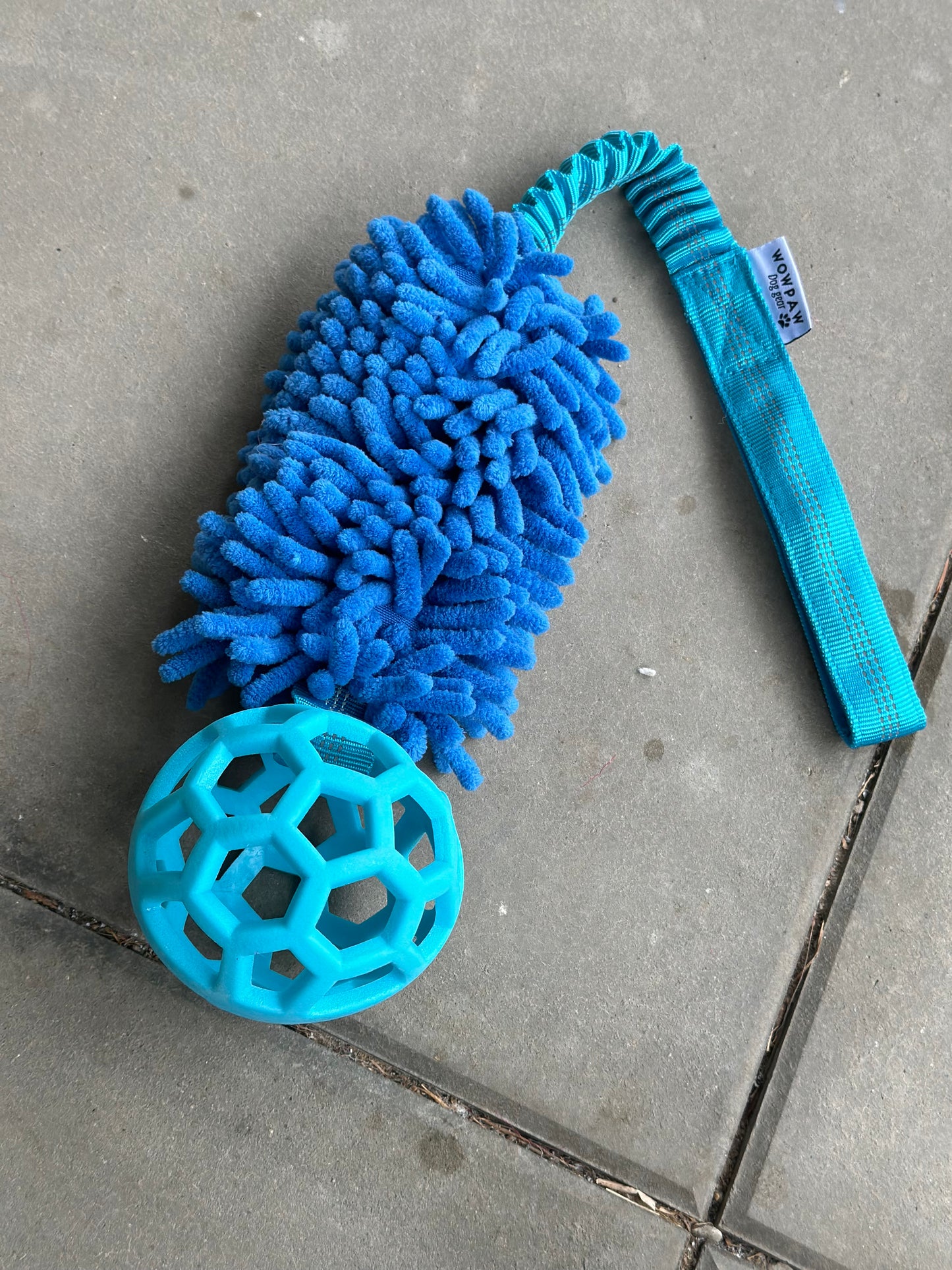 Bungee Zergel mit Ball Pink , Blau & Orange