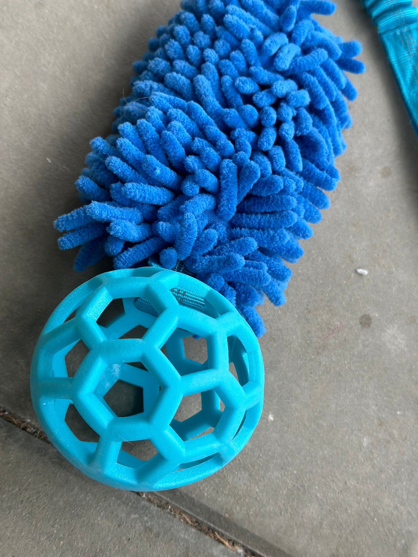 Bungee Zergel mit Ball Pink , Blau & Orange