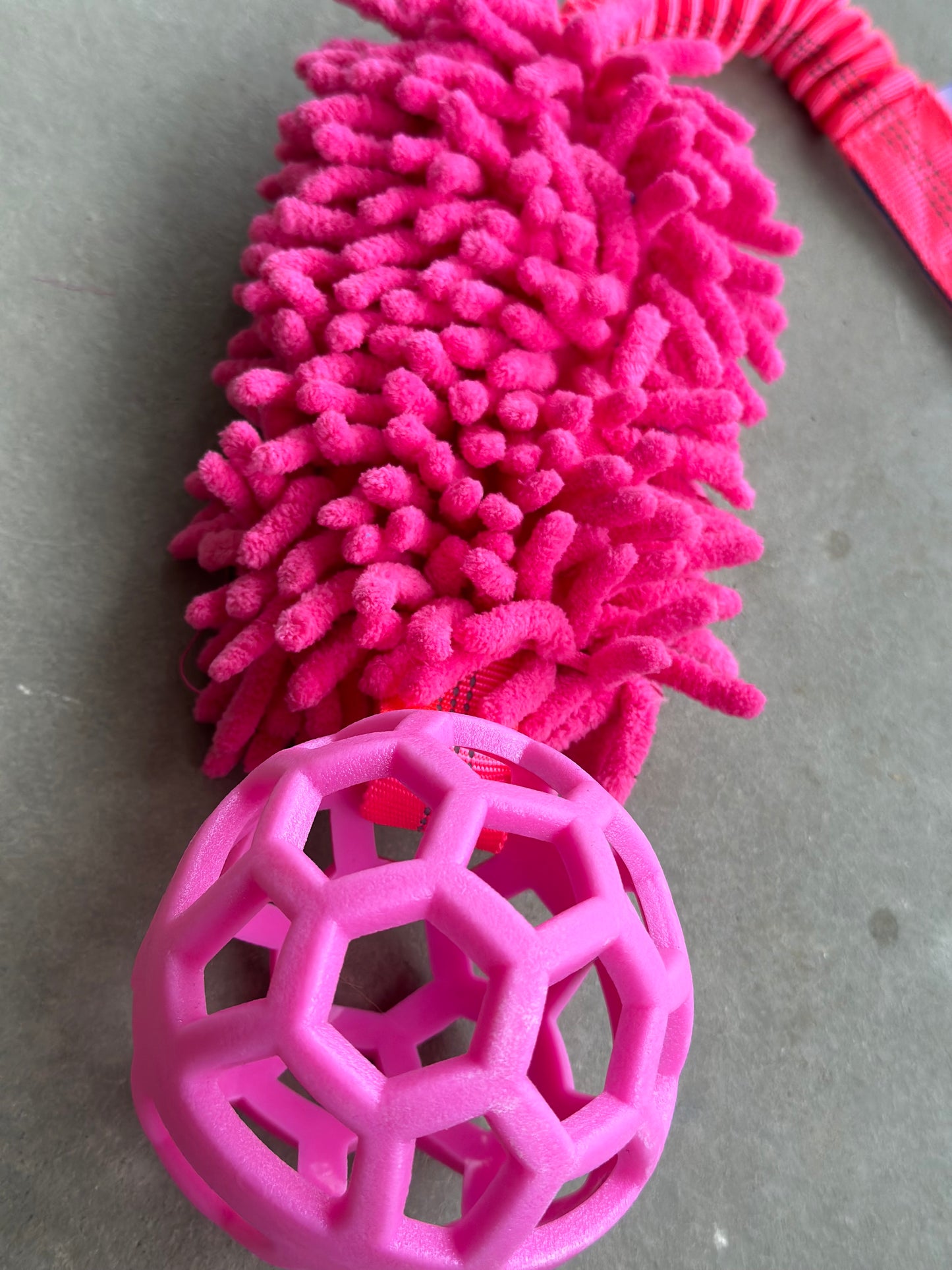 Bungee Zergel mit Ball Pink , Blau & Orange