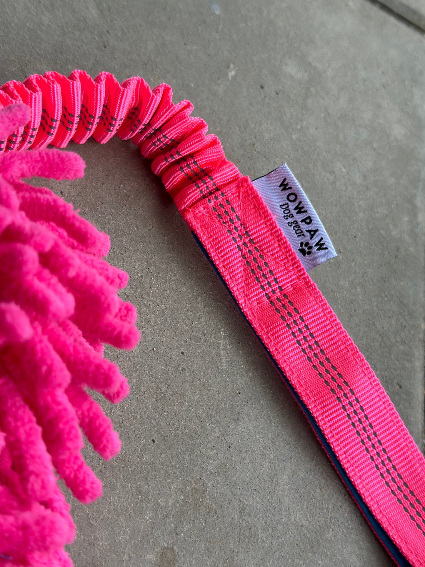 Bungee Zergel mit Ball Pink , Blau & Orange
