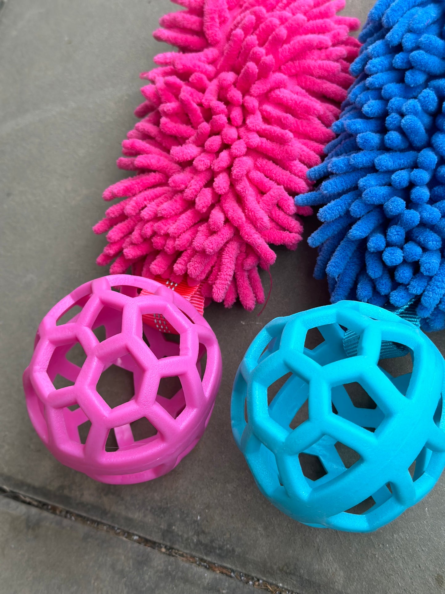 Bungee Zergel mit Ball Pink , Blau & Orange