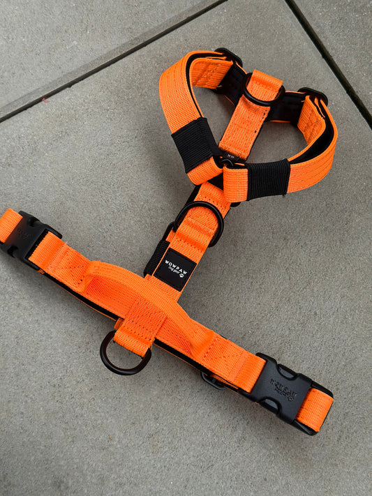Hochwertiges Hundegeschirr XS Neonorange