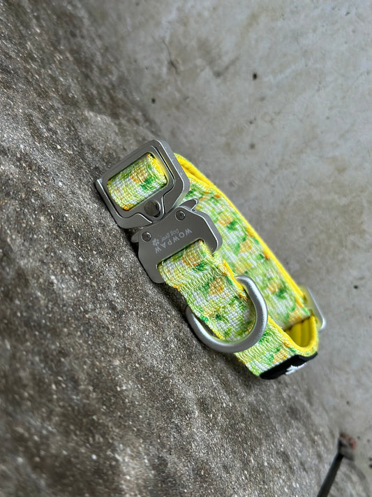 Collare per cani tattico di alta qualità 2,5 cm arancione neon taglia XS