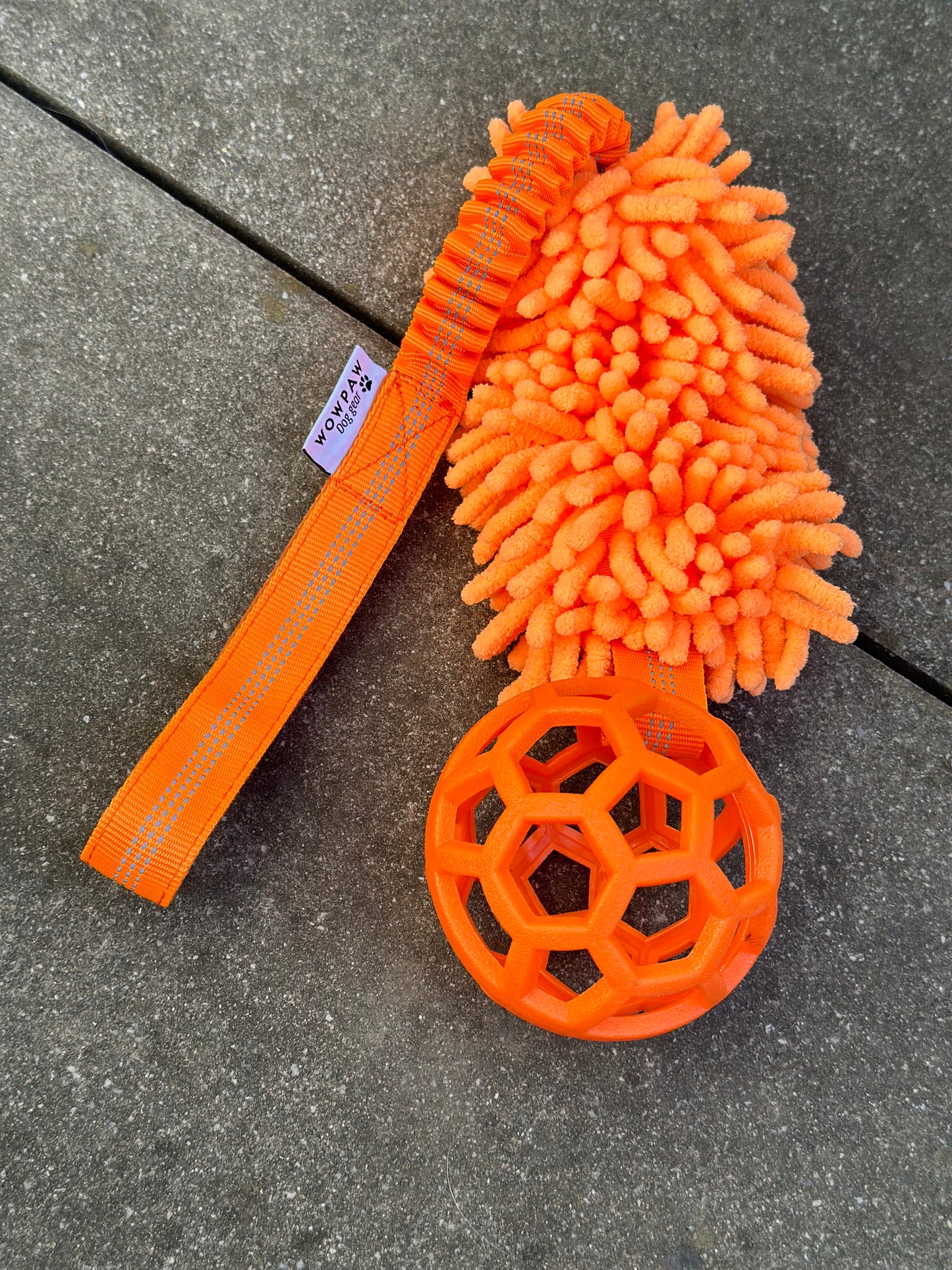 Bungee Zergel mit Ball Pink , Blau & Orange