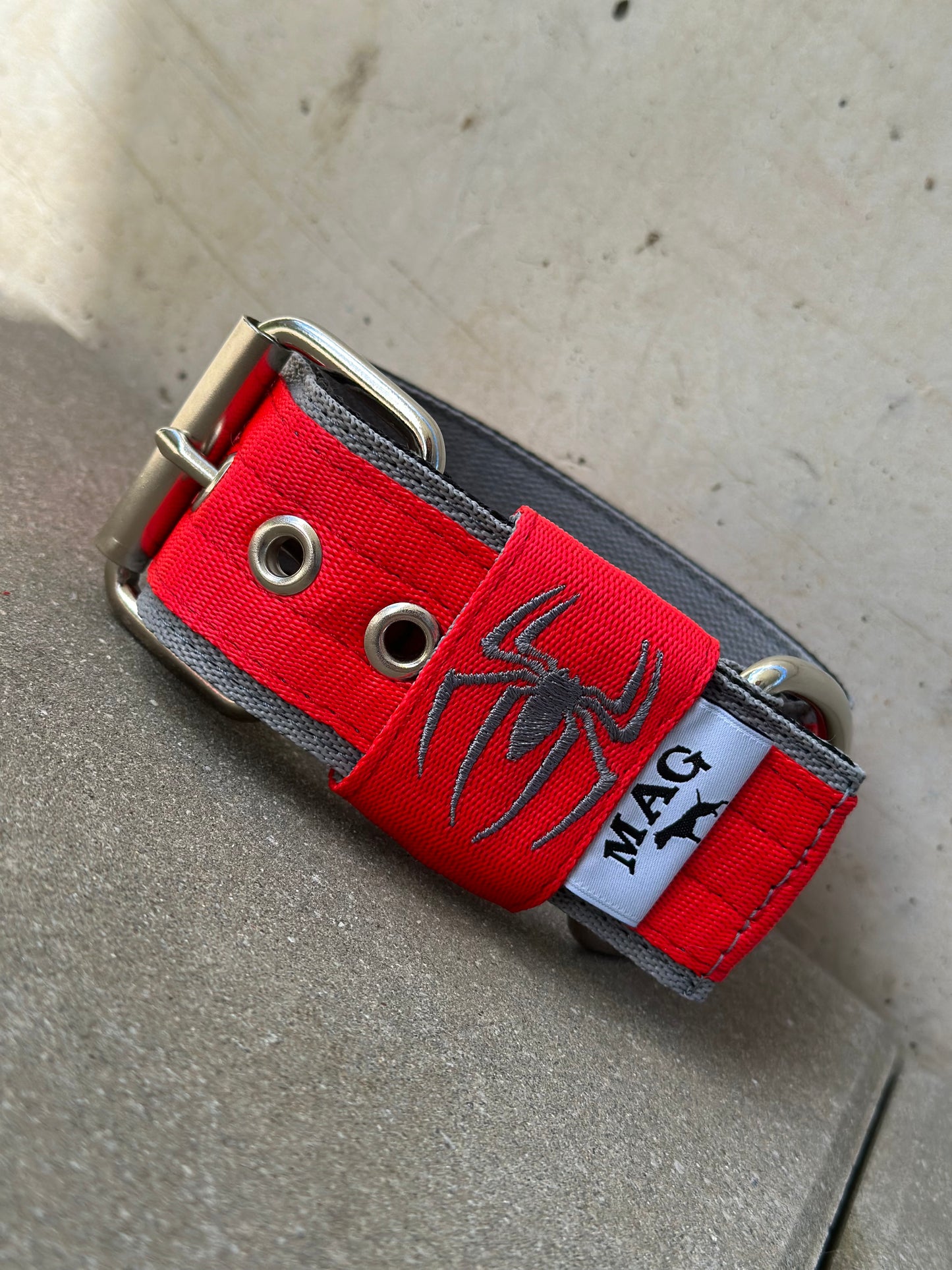 MAG Web Hundehalsband Spider Rot