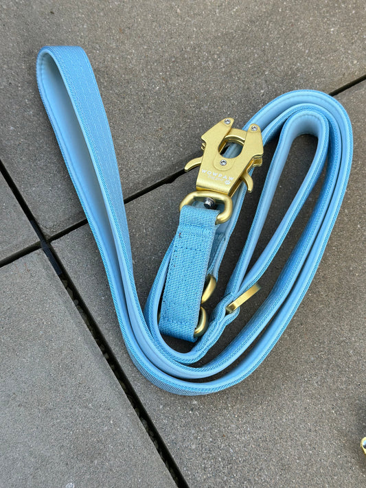 Guinzaglio tattico per cani con moschettone a rana, girevole a 360°, lunghezza 1,8 menta / oro rosa
