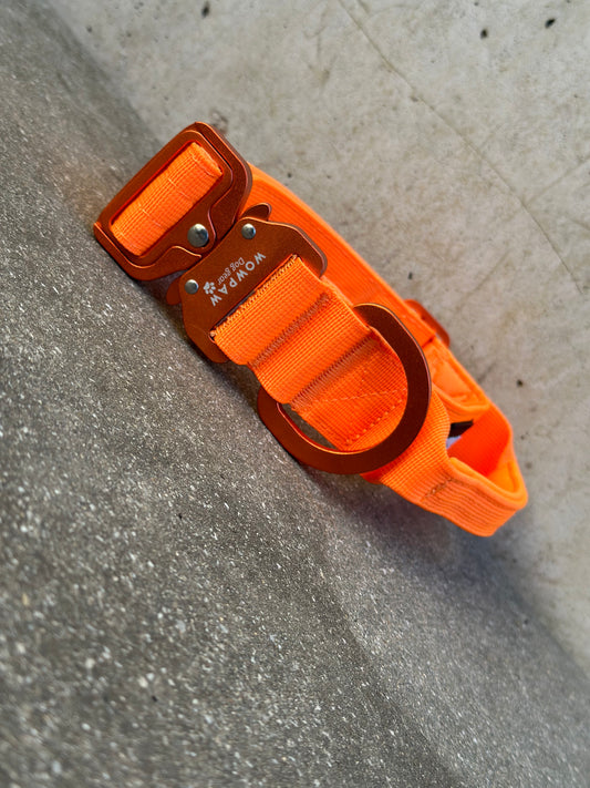 Hochwertiges taktisches Hundehalsband 3,8cm ULTRA LIGHT NEONORANGE Edition Größe S