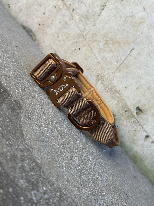 Hochwertiges taktisches Hundehalsband XS 2,5cm Braun Edition