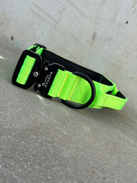 Wysokiej jakości taktyczna obroża dla psa neonowo zielona rozmiar M szerokość 3,8 cm