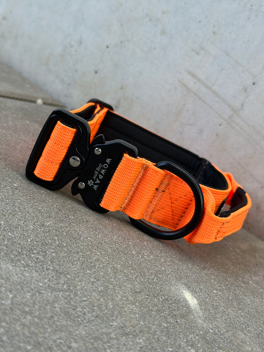 Wysokiej jakości taktyczna obroża dla psa neonowo pomarańczowa rozmiar S szerokość 3,8 cm