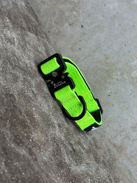 Collare per cani tattico di alta qualità 2,5 cm arancione neon taglia XS