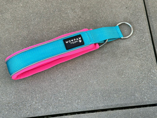 Zugstopp Hundehalsband Blau XXS