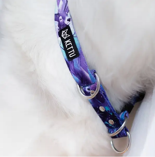 KETTU Halbzug Hundehalsband Patronus