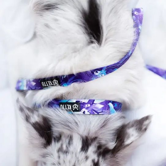 KETTU Halbzug Hundehalsband Patronus