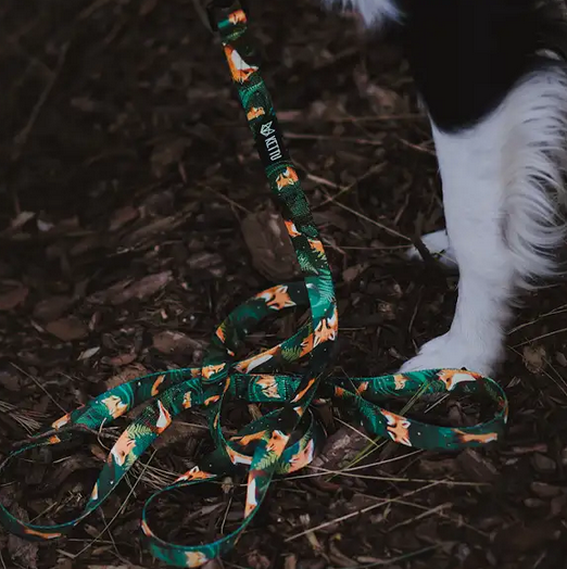 KETTU Halbzug Hundehalsband Green Forest Fox