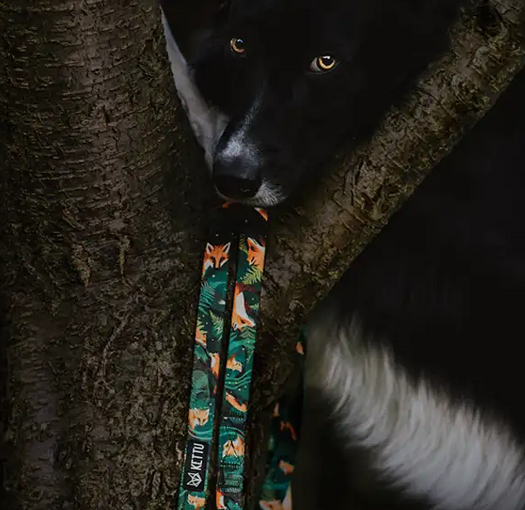 KETTU Halbzug Hundehalsband Green Forest Fox