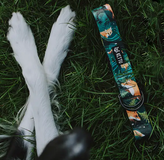 KETTU Halbzug Hundehalsband Green Forest Fox