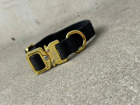 Collare per cani tattico di alta qualità 2,5 cm arancione neon taglia XS