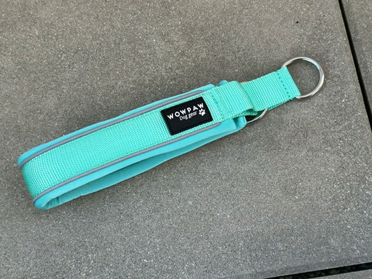 Zugstopp Hundehalsband Mint XS
