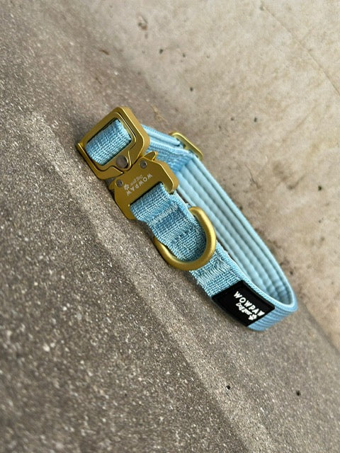 Collare per cani tattico di alta qualità 2,5 cm arancione neon taglia XS