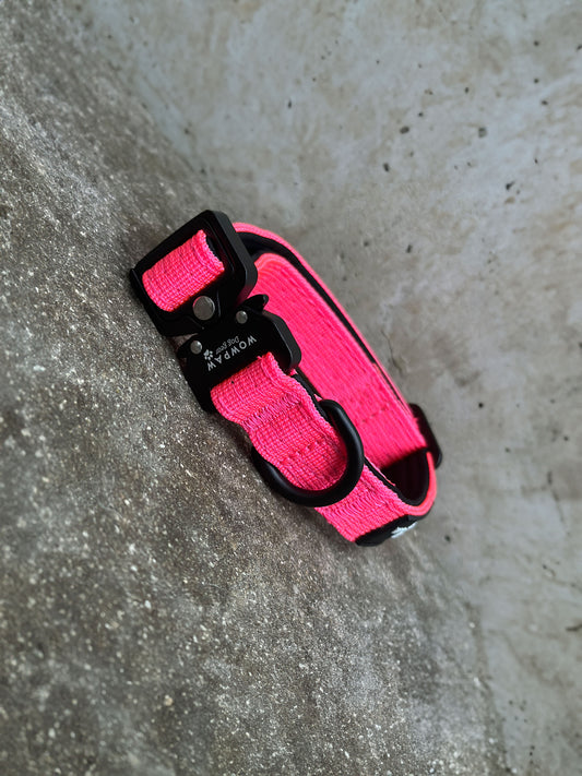 Collare per cani tattico di alta qualità 2,5 cm arancione neon taglia XS